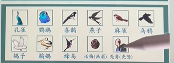 《沙雕的日常》鸟都在哪找出11只鸟通关攻略