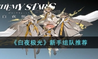 《白夜极光》攻略——新手组队推荐